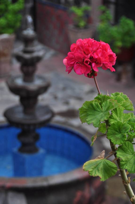 Pátio do nosso hotel, um antigo convento em San Miguel de Allende, no México